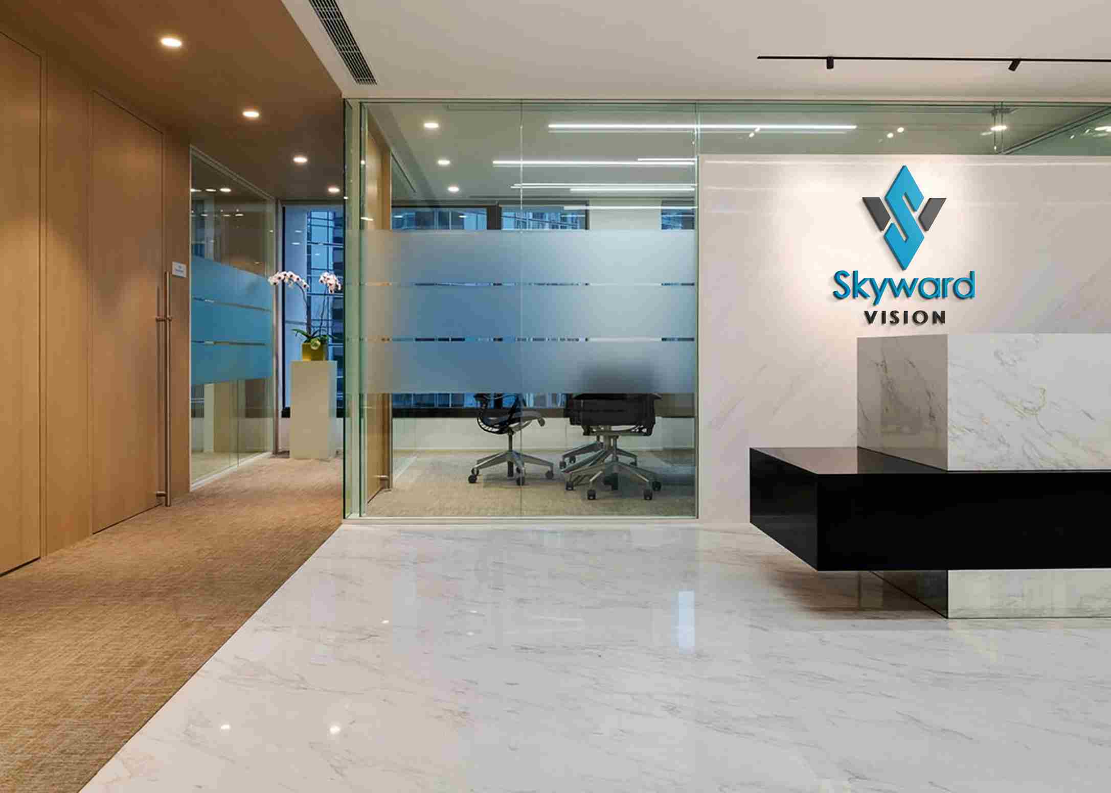 About SkywardVision